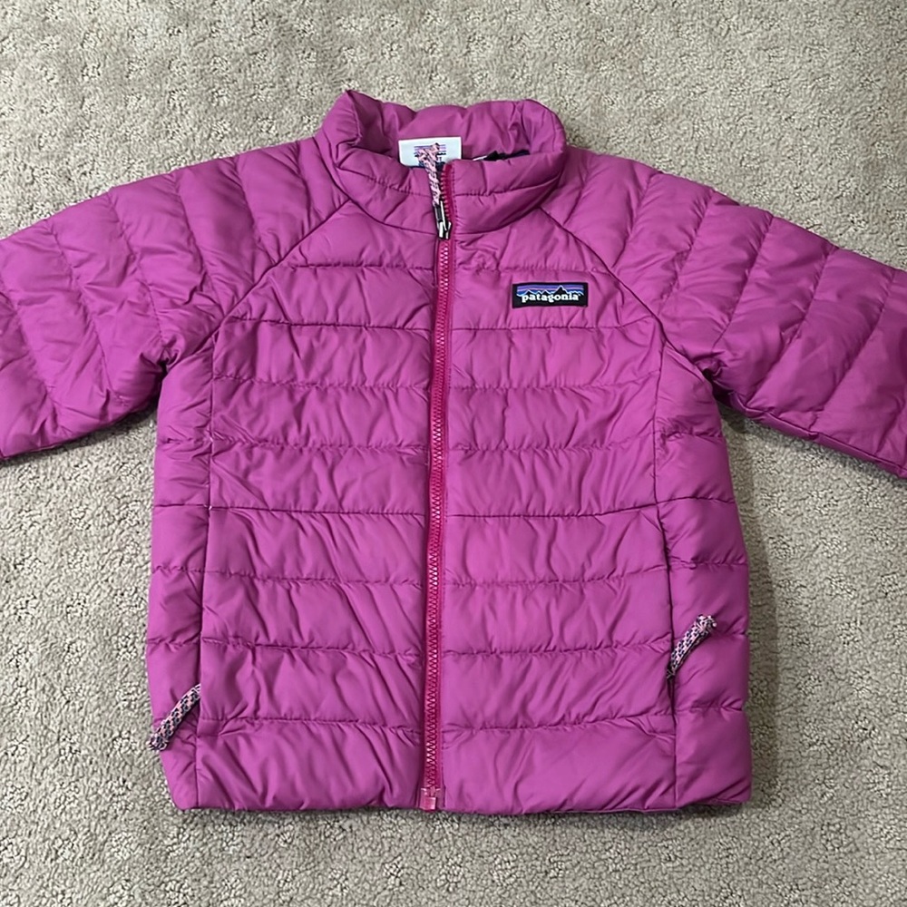 Patagonia Toddlers Puffer Jacker